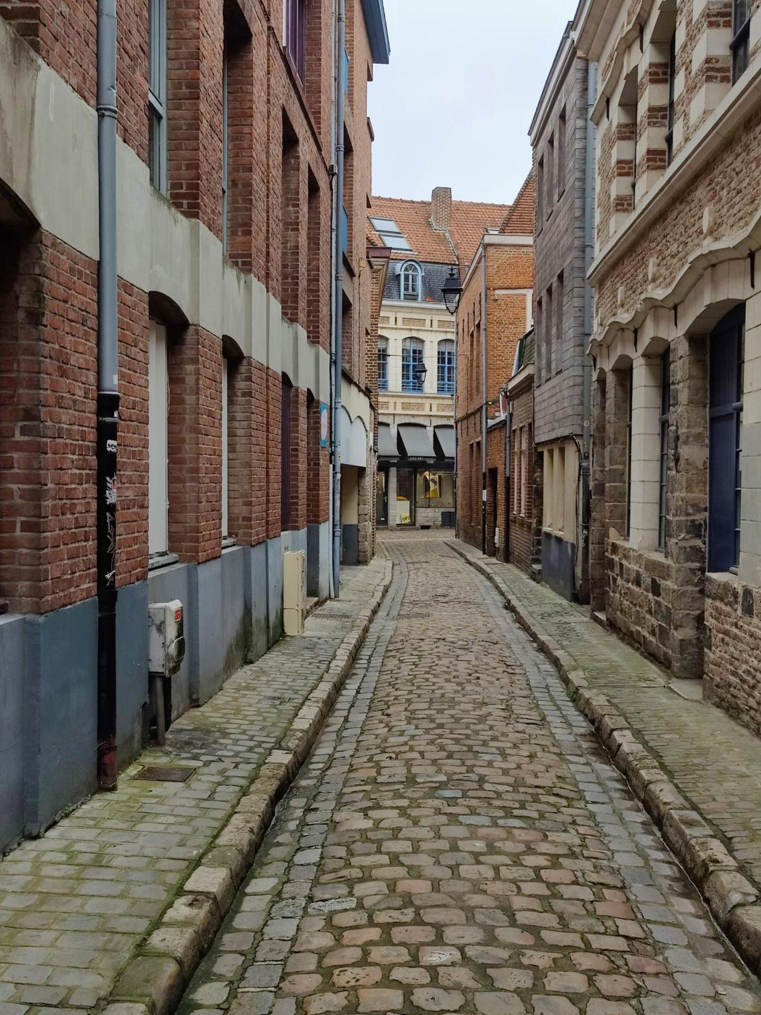 Studio Passage Des Arts - Vieux Lila Exterior foto